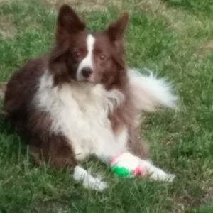 Meet your Posher, Val